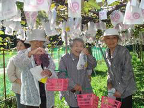 生きがい活動支援通所事業 恵那