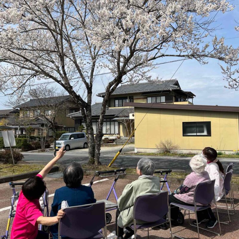 岩村デイサービスで桜を楽しみました🌸