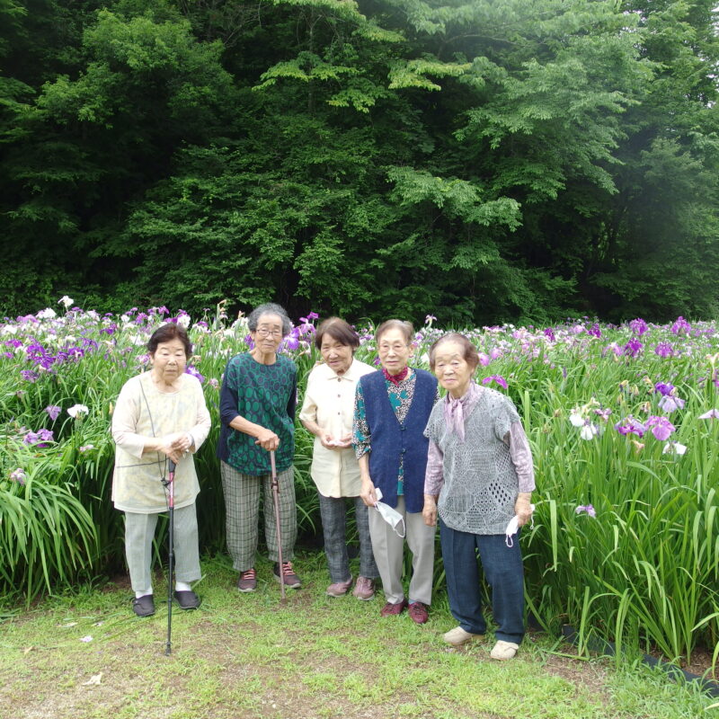 岩村の花菖蒲を見に行きました！