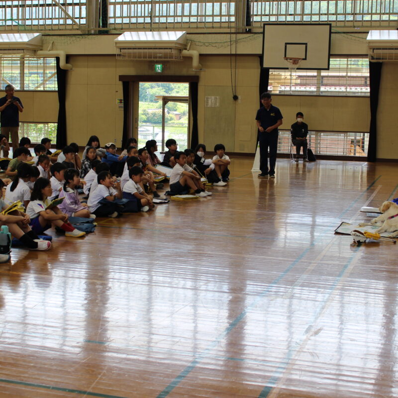 中野方小学校に盲導犬がやって来ました