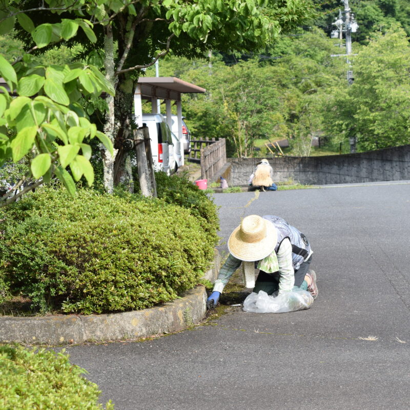 明智福祉センター周辺がきれいになりました