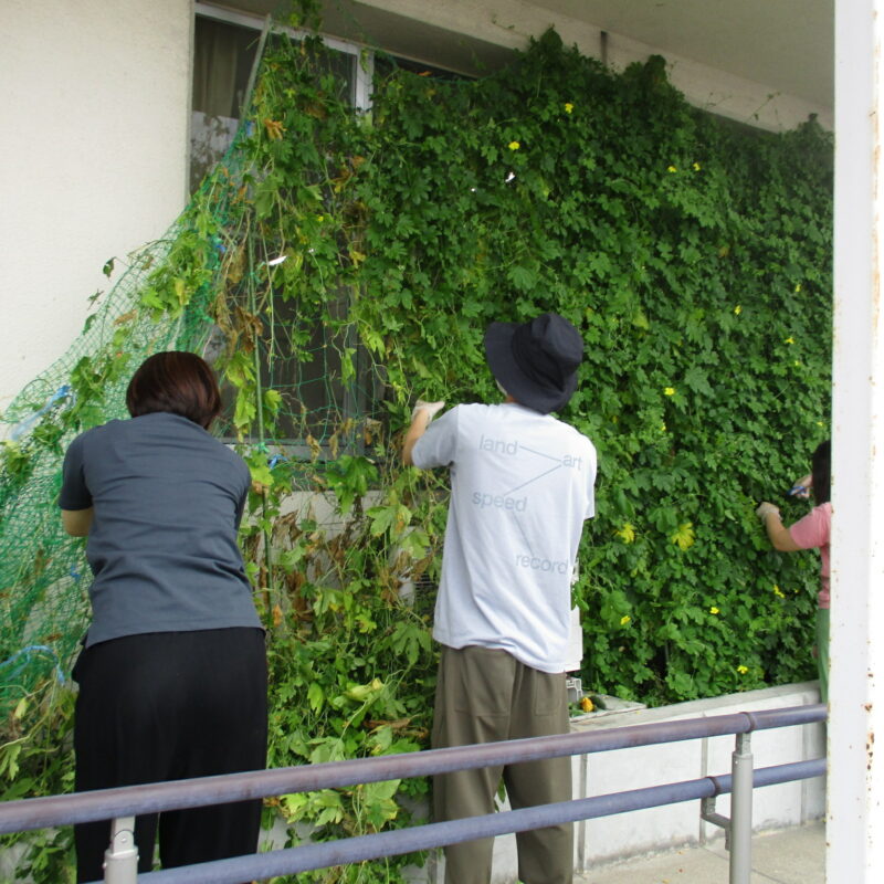 地域生活支援拠点事業「ぷらっと」で花壇整備