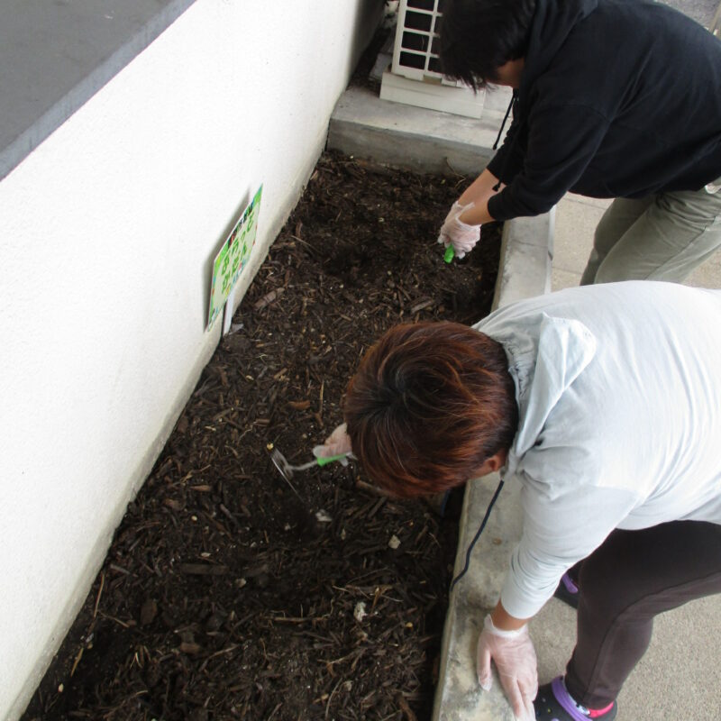 地域生活支援拠点事業「ぷらっと」で花壇整備を行いました。