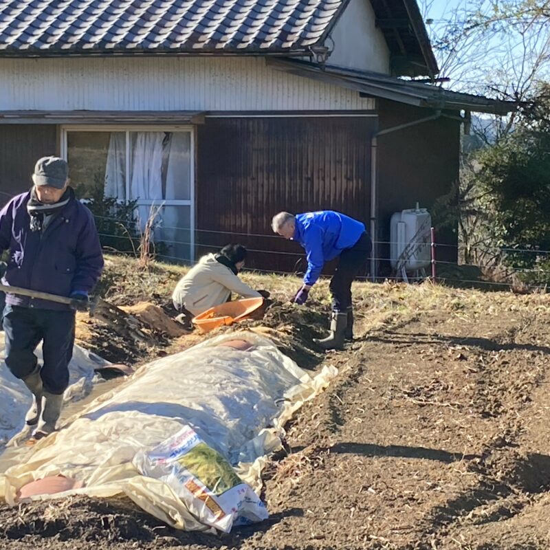 野菜の寄付を頂きました！