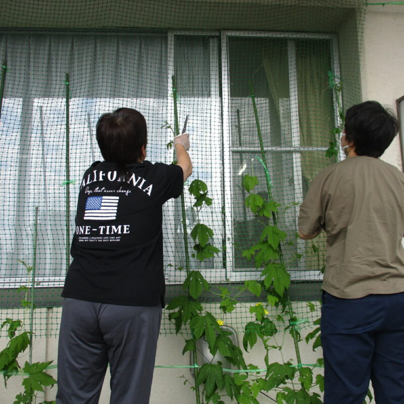 地域生活支援拠点事業「ぷらっと」花壇整備